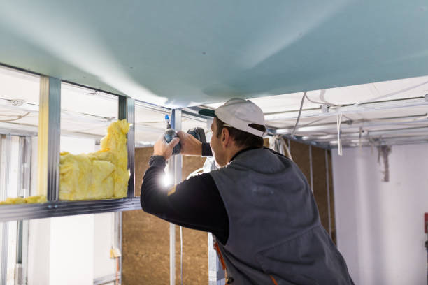 Best Soundproof Insulation Installation  in Bray, OK