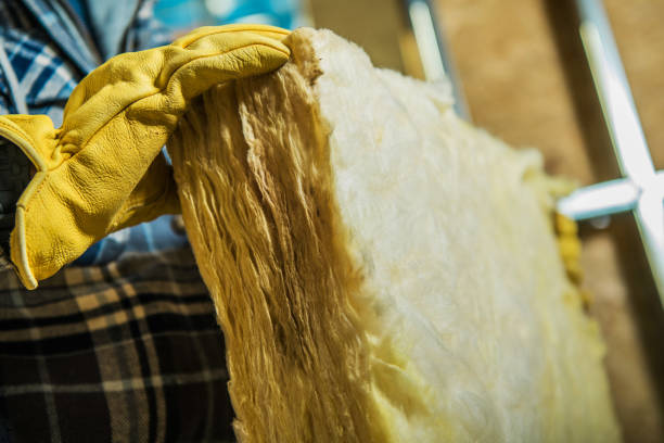 Best Insulation Contractors for Homes  in Bray, OK