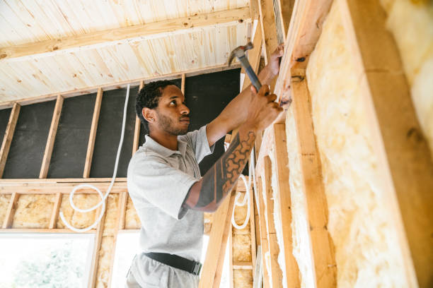 Best Home Insulation Services  in Bray, OK