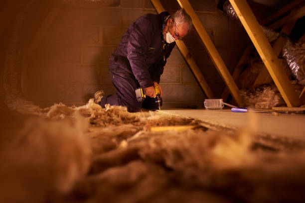 Best Energy-efficient Insulation  in Bray, OK